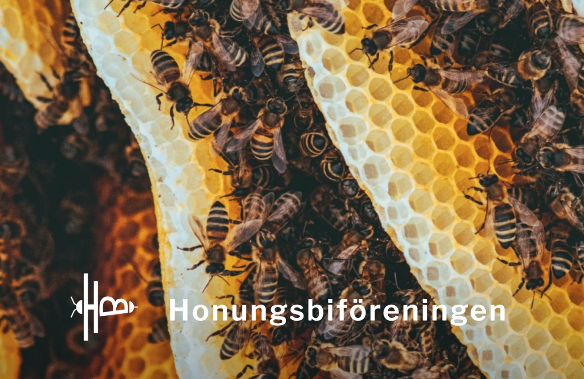 Honungsbiföreningen