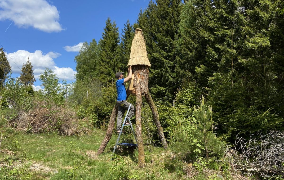 Helgkurs: Honeybee Rewilding